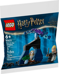 LEGO® Harry Potter™ Draco in the Forbidden Forest™ 30677