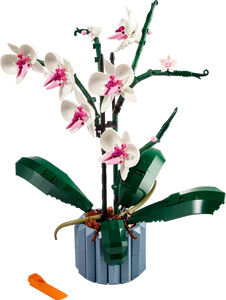 LEGO® Icons Orchid 10311