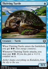 Thriving Turtle